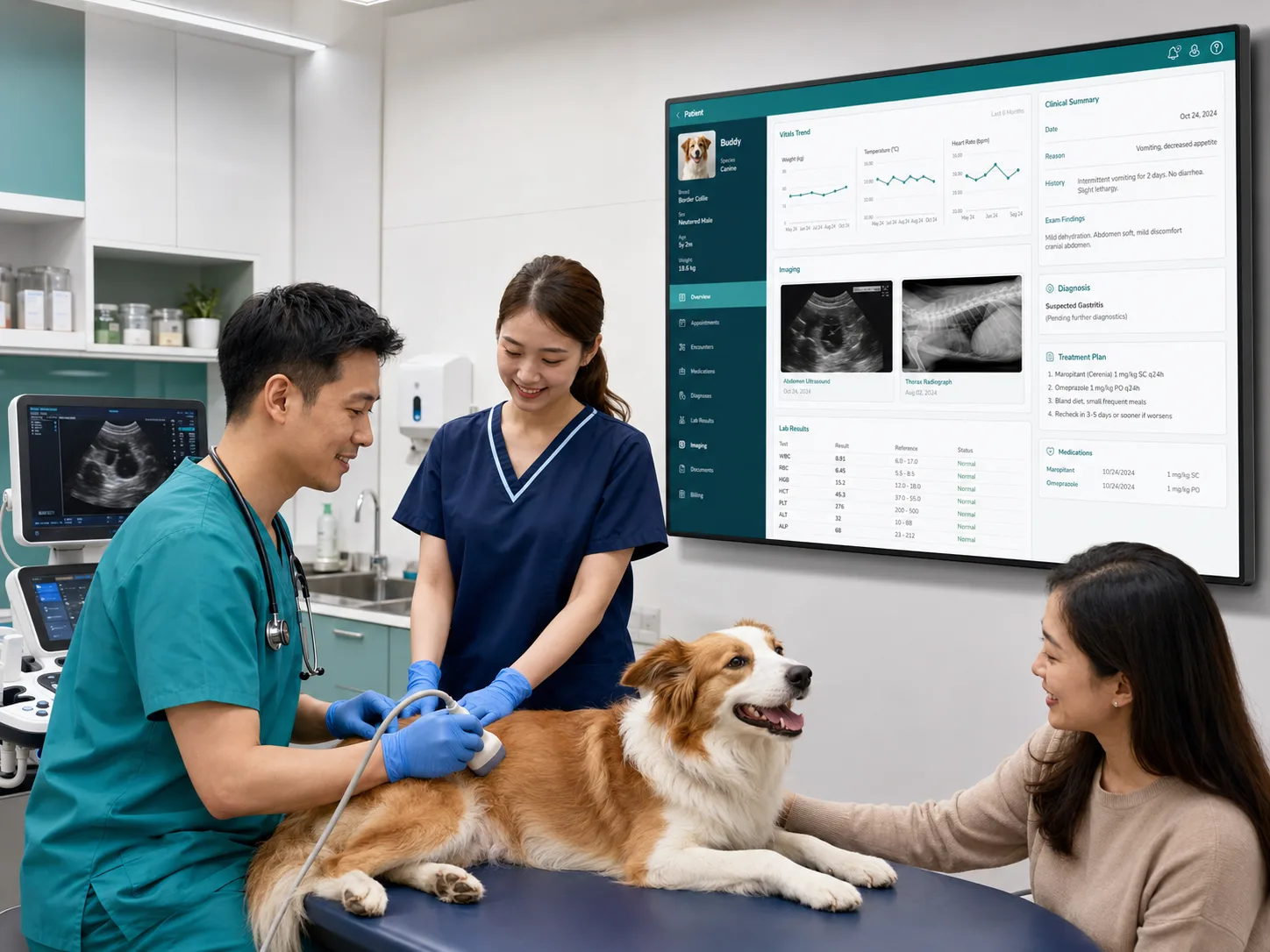 宠物医生为犬只做超声检查，墙面大屏展示高保真病历、影像、检验和治疗计划